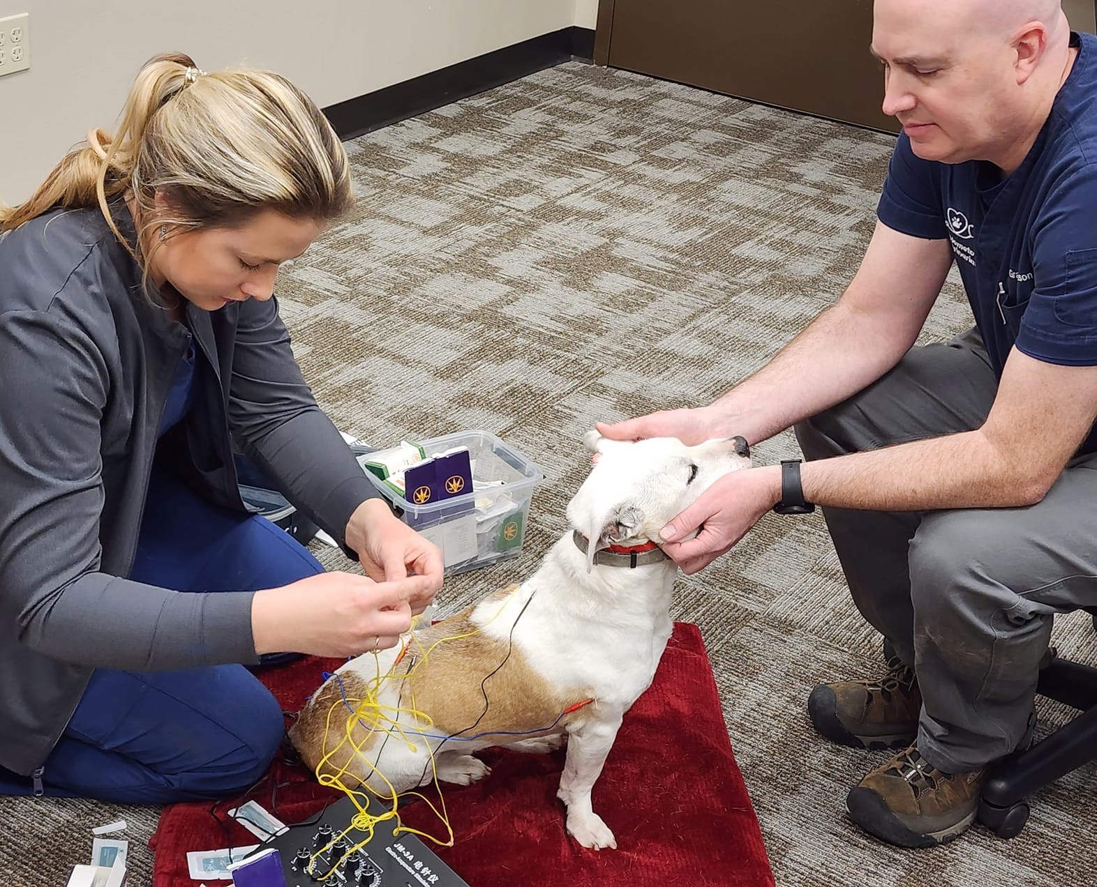 Acupuncture With Dr. Franken