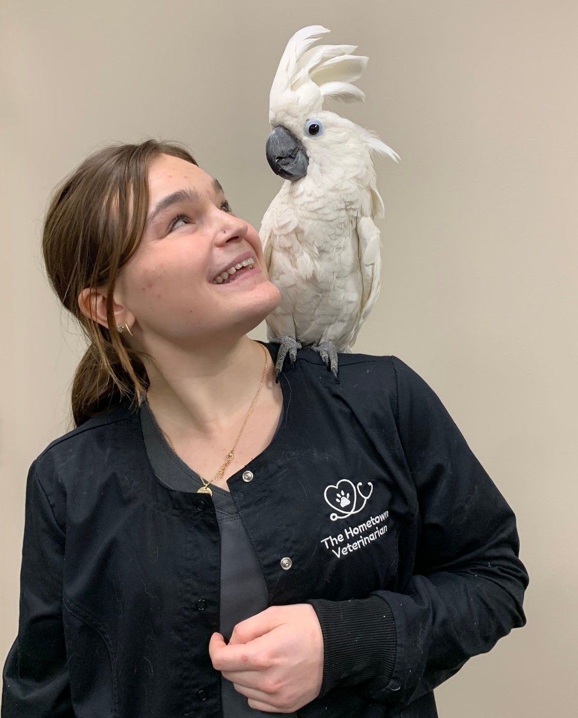 Cockatoo at The Hometown Veterinarian