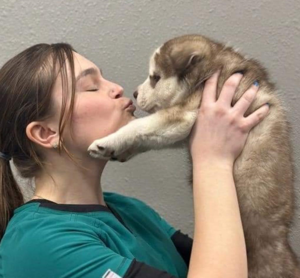 Puppy Kisses