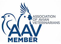 AAV Member