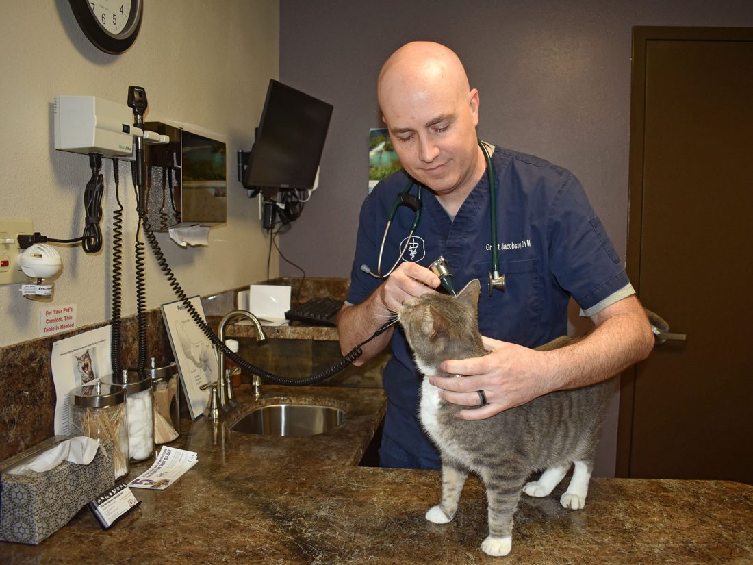 Dr. Jacobson With Smokey The Cat